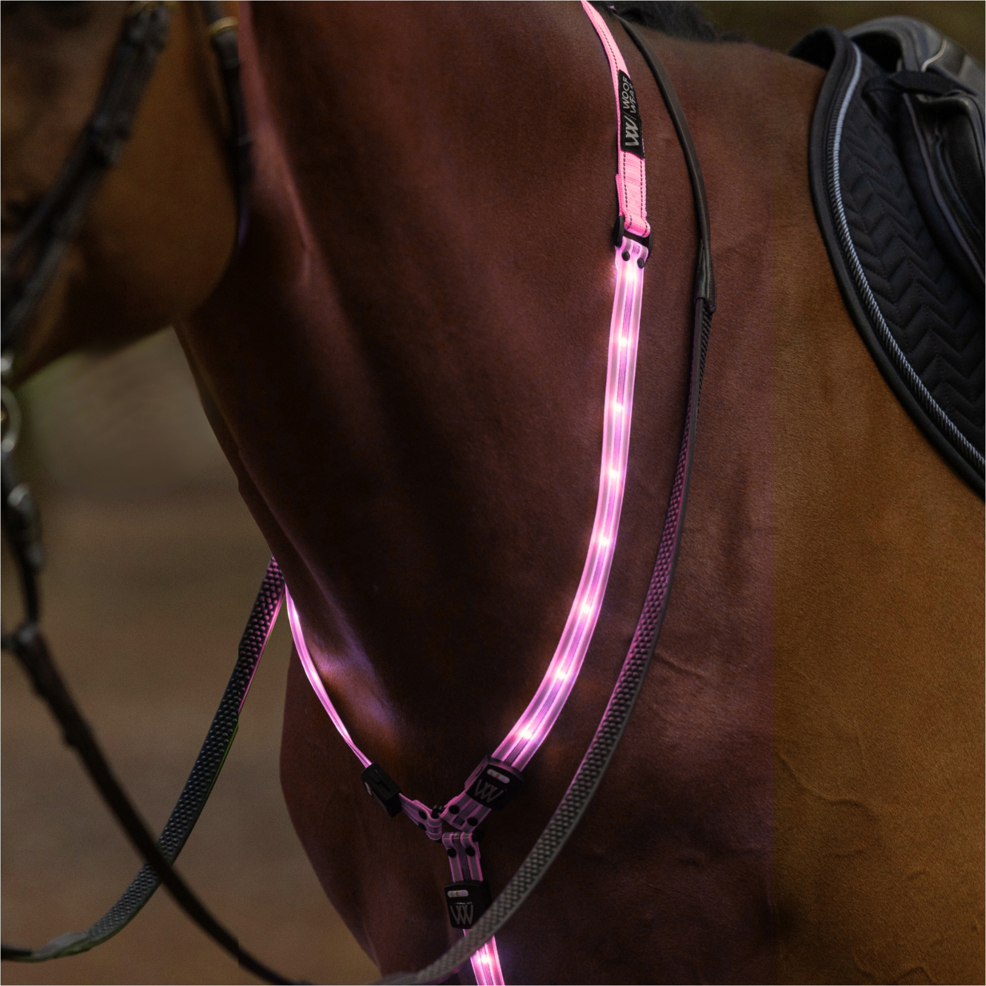 2026 Woof Wear Bandeau LED Pour Le Cou WS0035 - Hi Viz Pink